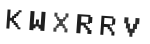 Verification Code Image